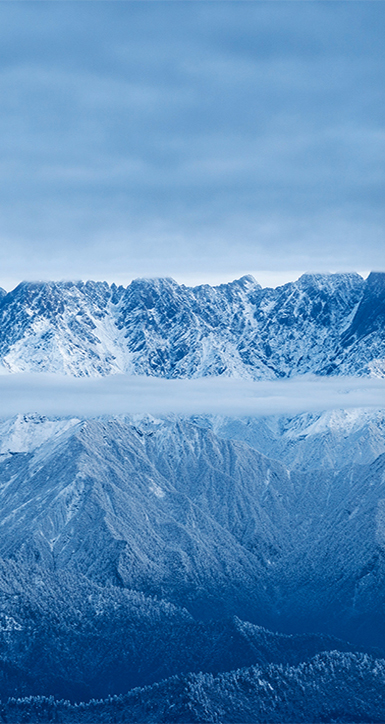 关于庄闲和游戏